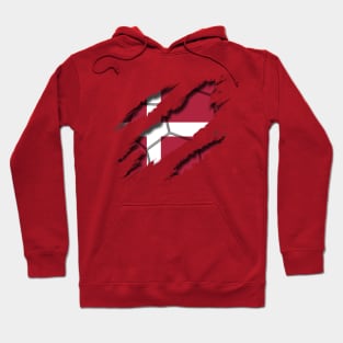 Denmark Football Hoodie